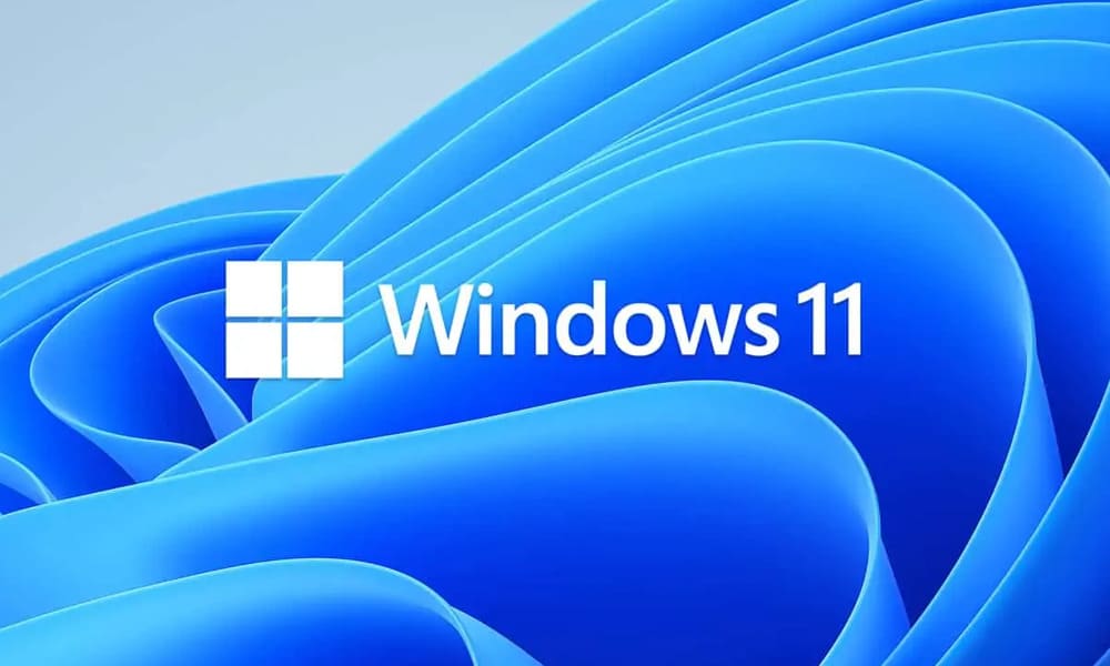 Windows 11